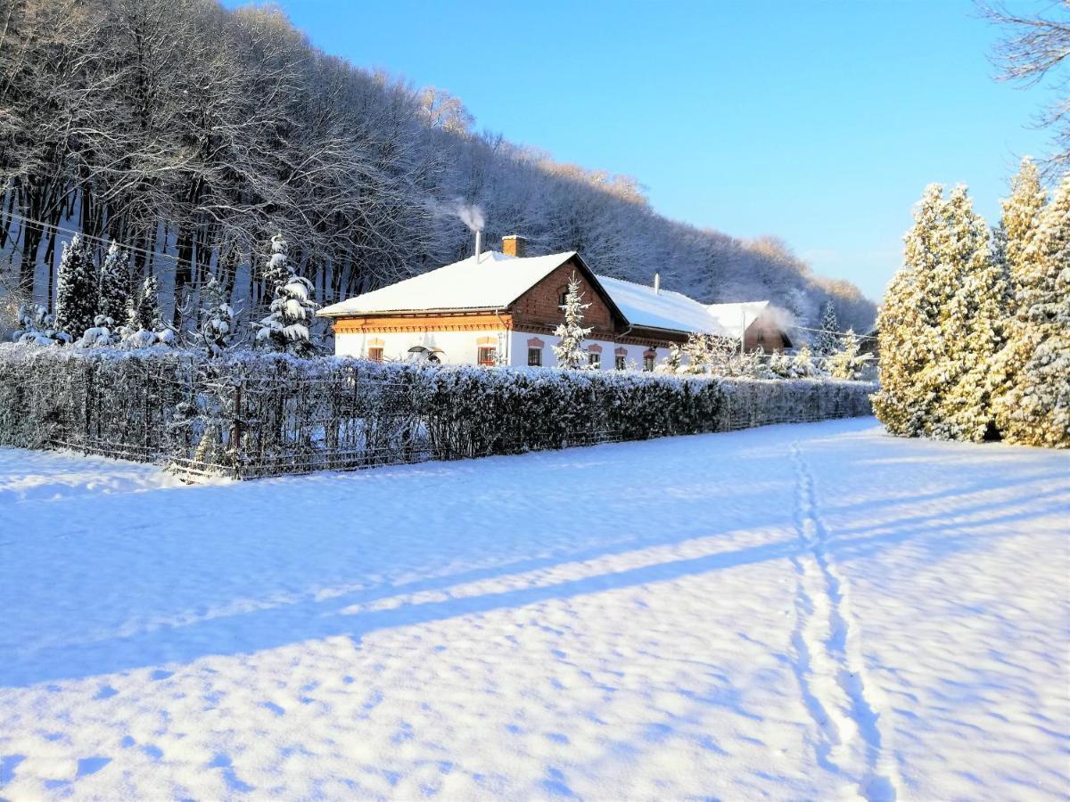 Appartement Parva Foresta à Miskolc Extérieur photo